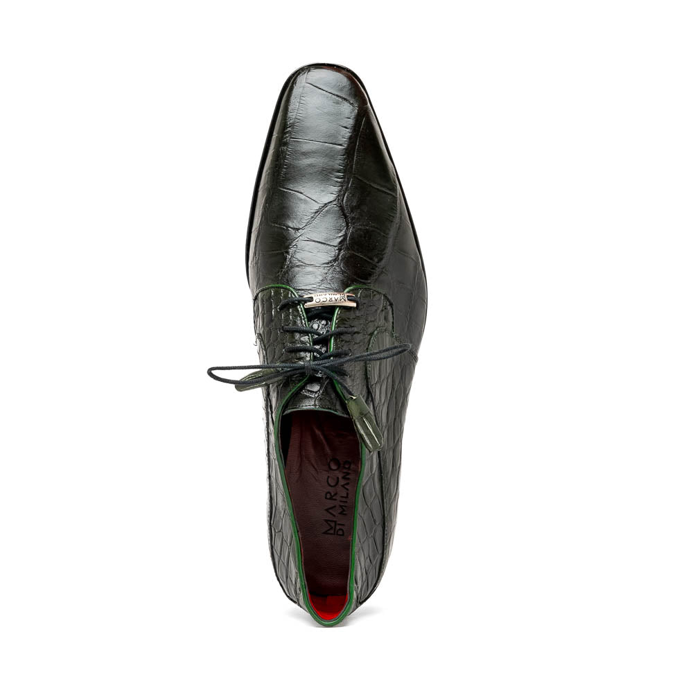 Fitipaldi Olive