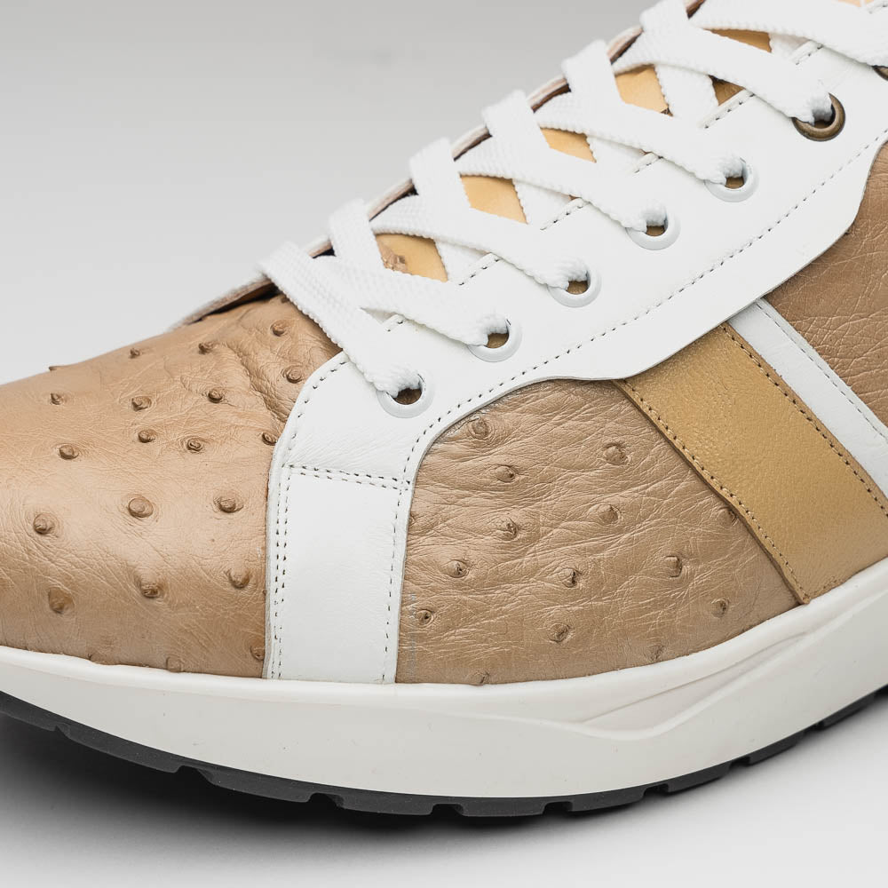 Lyon II Orix / White