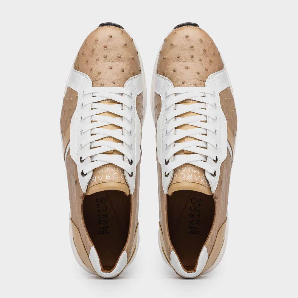 Lyon II Orix / White
